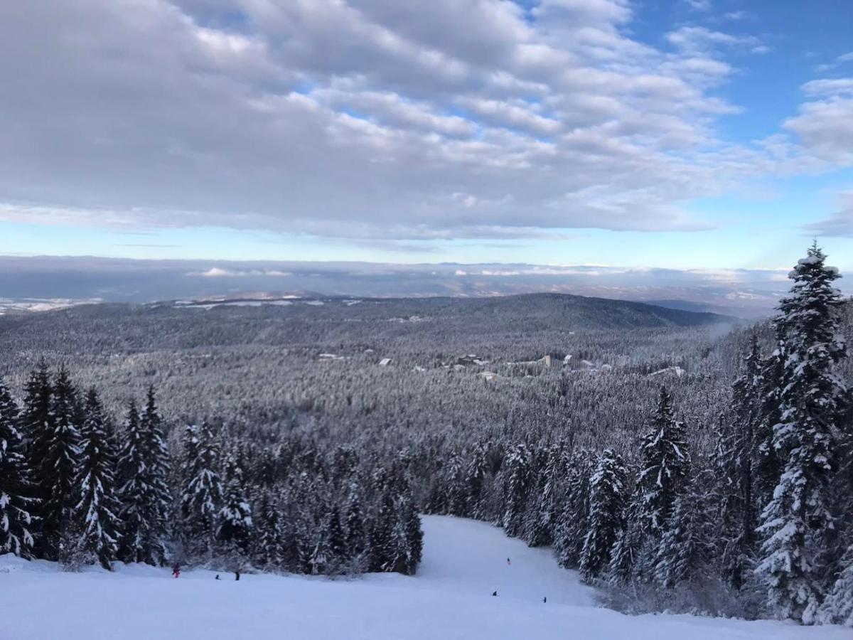 Petkovi Аpartments, Borovets Gardens Lejlighed Eksteriør billede
