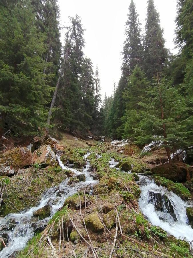 Petkovi Аpartments, Borovets Gardens Lejlighed Eksteriør billede