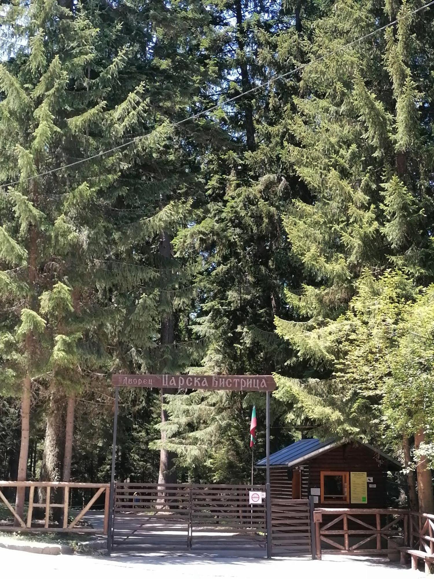 Petkovi Аpartments, Borovets Gardens Lejlighed Eksteriør billede