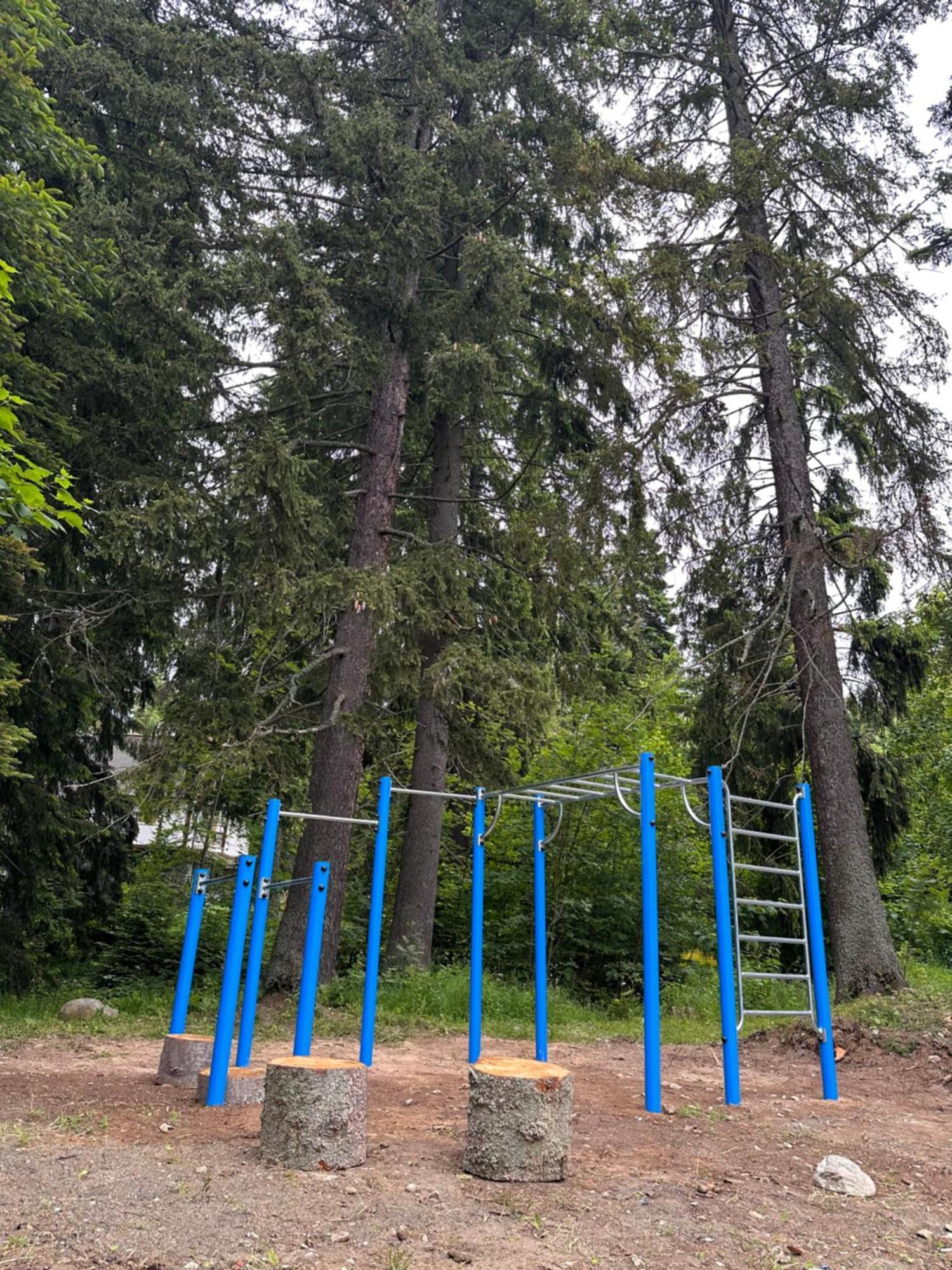 Petkovi Аpartments, Borovets Gardens Lejlighed Eksteriør billede